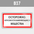 ���� ����������. ��������������������� ��������, B37 (������, 300�150 ��)